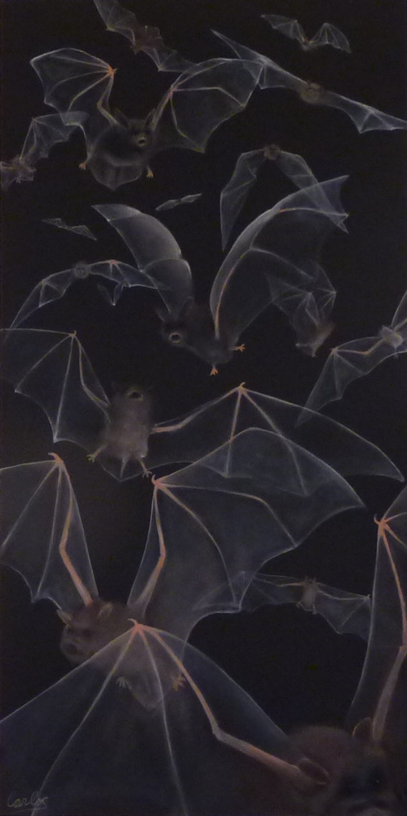 Carlos Anglberger, Security
Öl auf Leinwand
150 x 80 cm