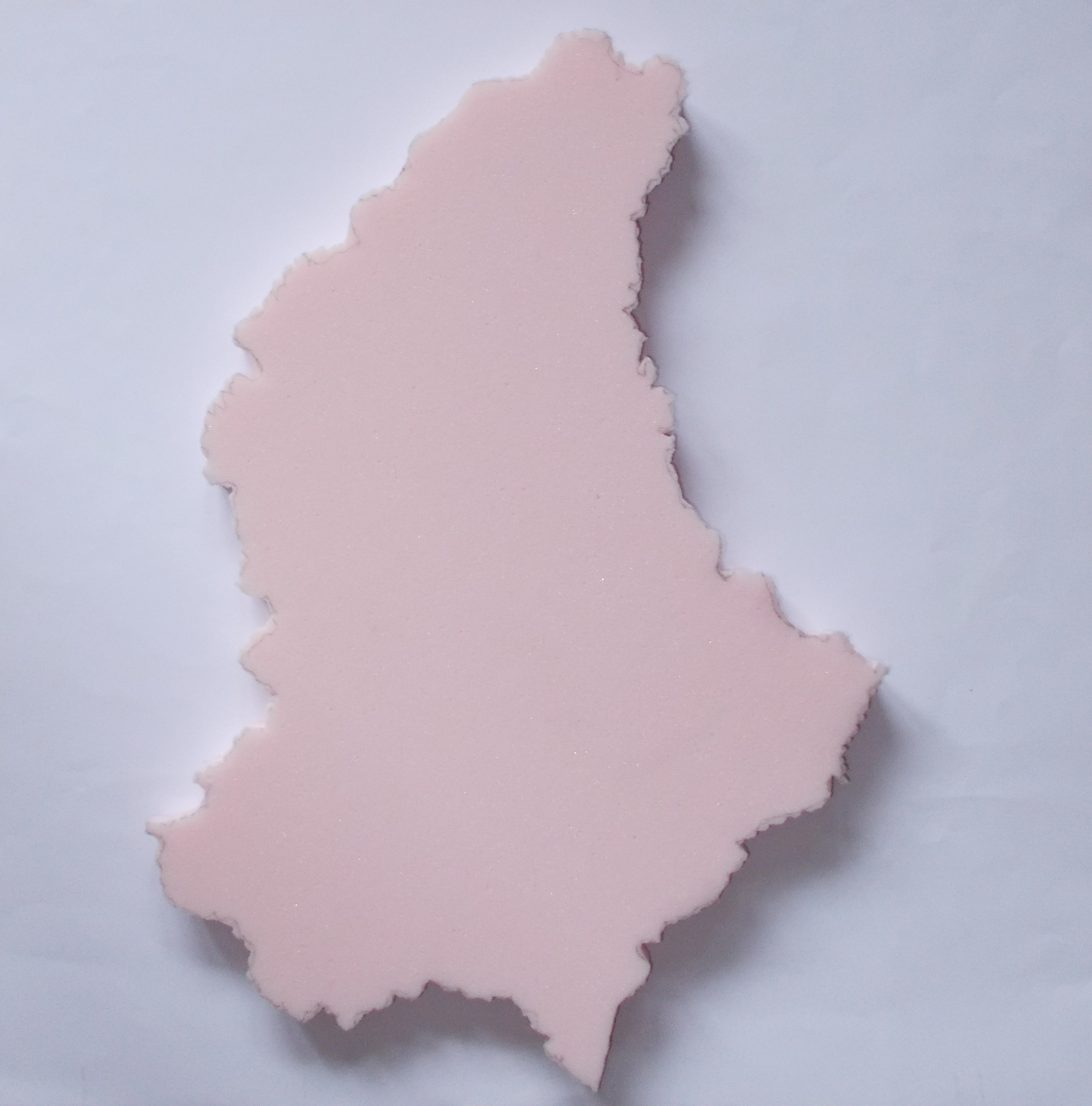 Kurt Mitterndorfer, Rosa Luxemburg die 
Kämpferin für die Rechte 
der Frauen „R. L. 5“
49 x 49 cm / Schaumstoff 
auf Papier,